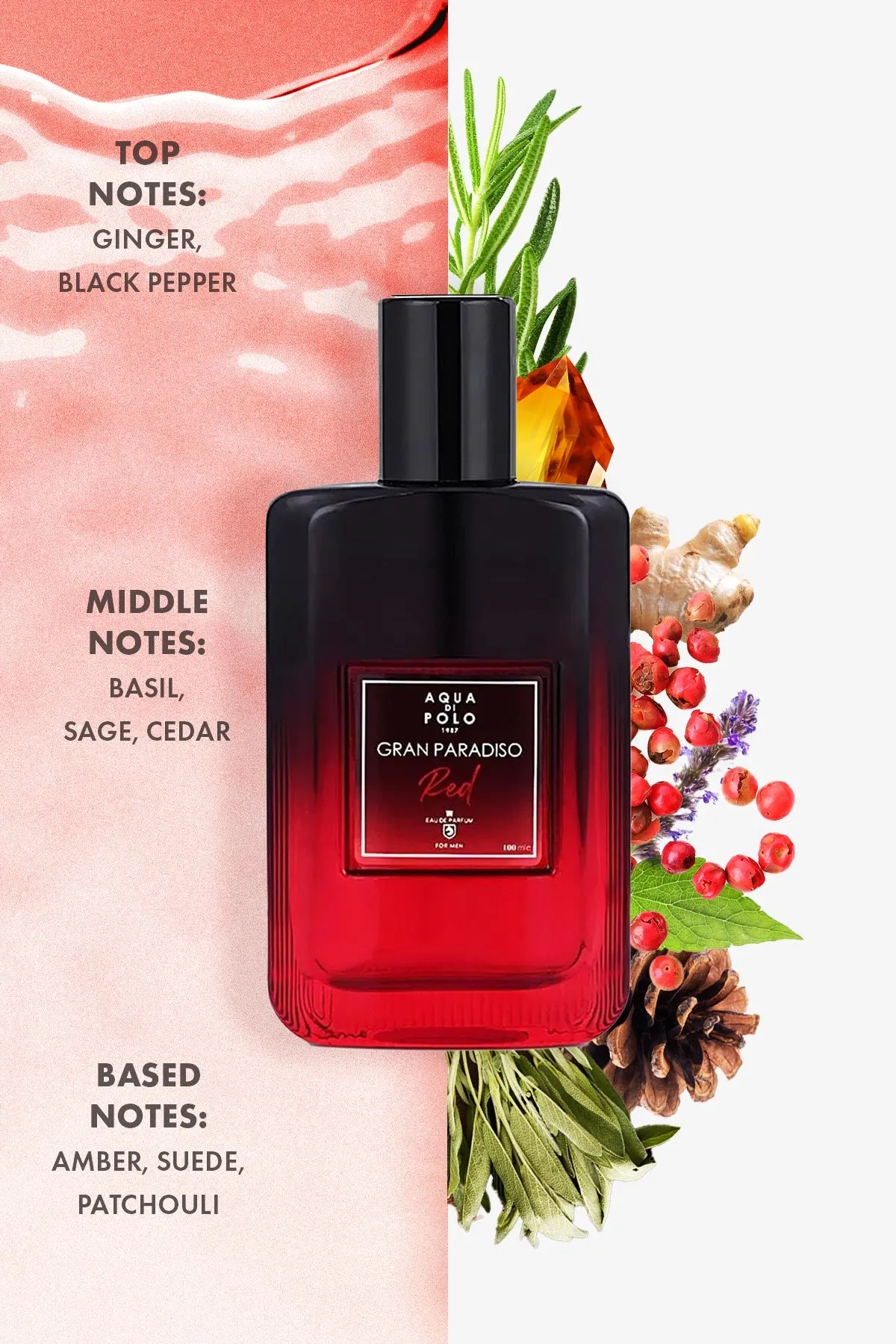 Aqua Di Polo1987 Red Edp 100Ml